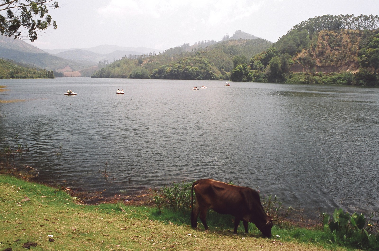 Kundala Dam