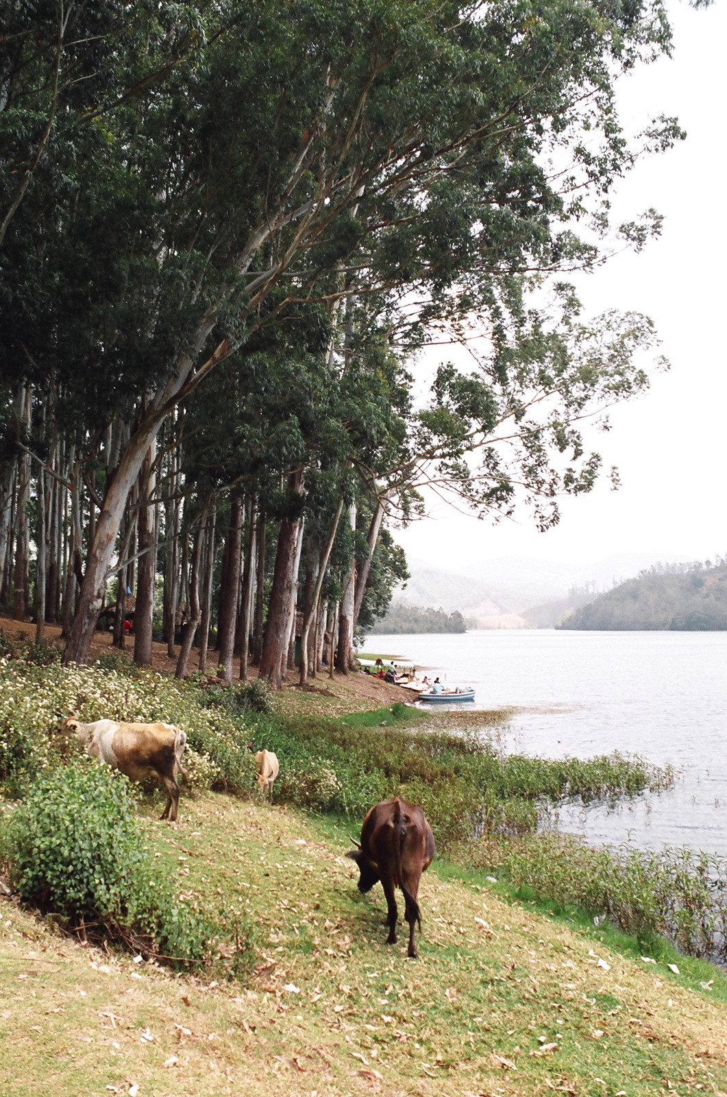 Kundala Dam