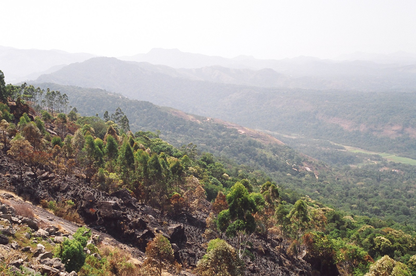 The view on the way from Munnar to Periyar