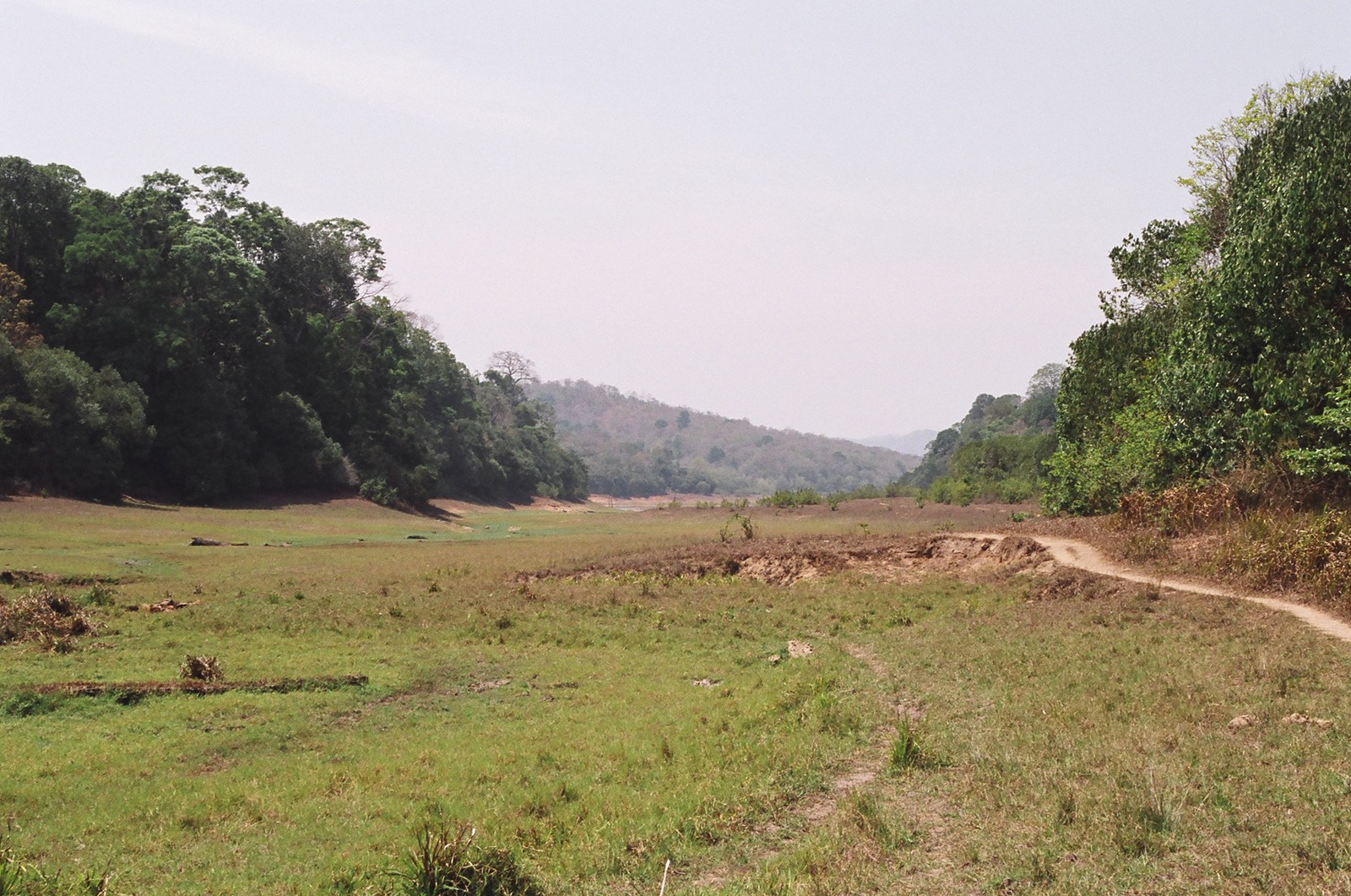 Scenery on the nature walk in Periyar