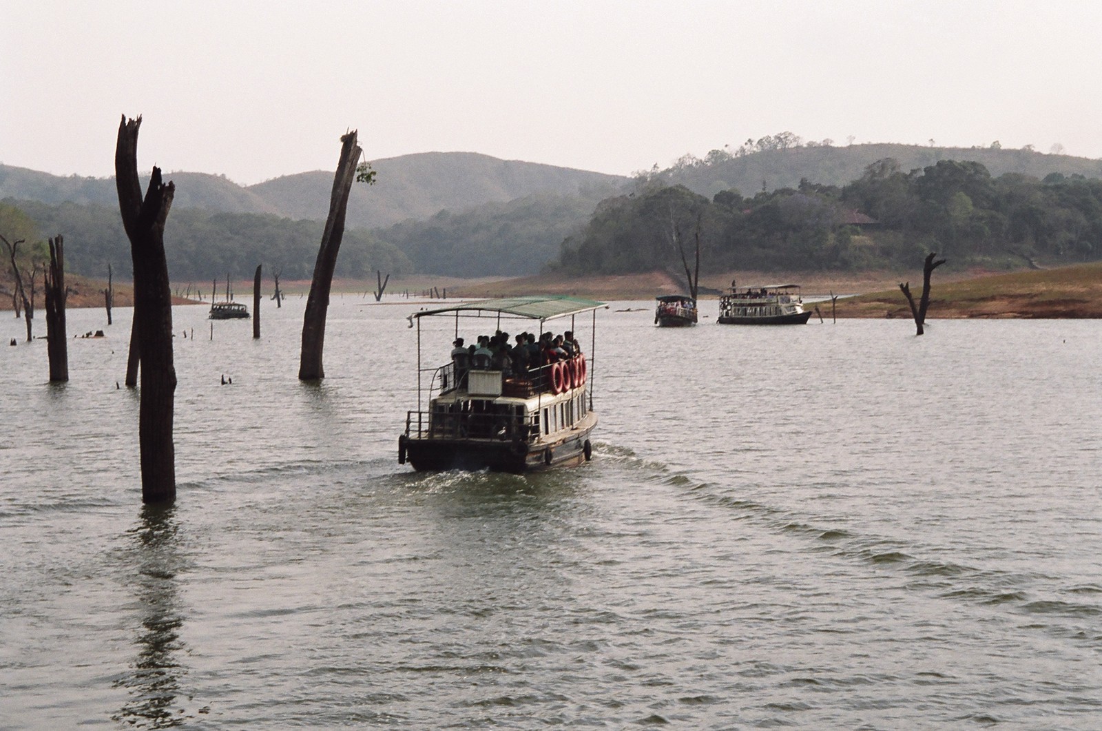 The wildlife cruise on Periyar Lake