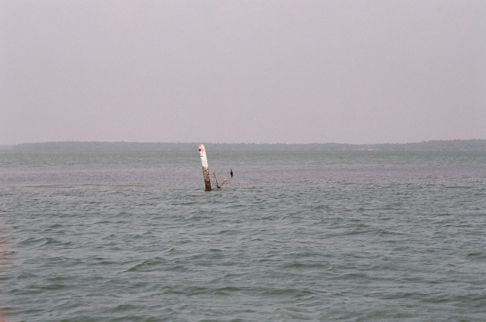 Ashtamudi Lake