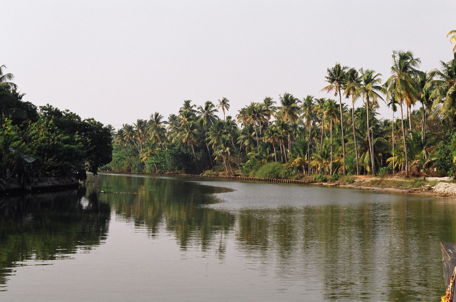 The Keralan backwaters