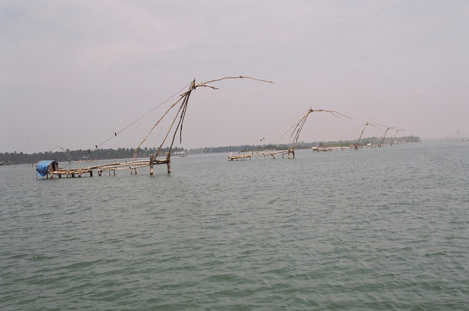 Chinese fishing nets