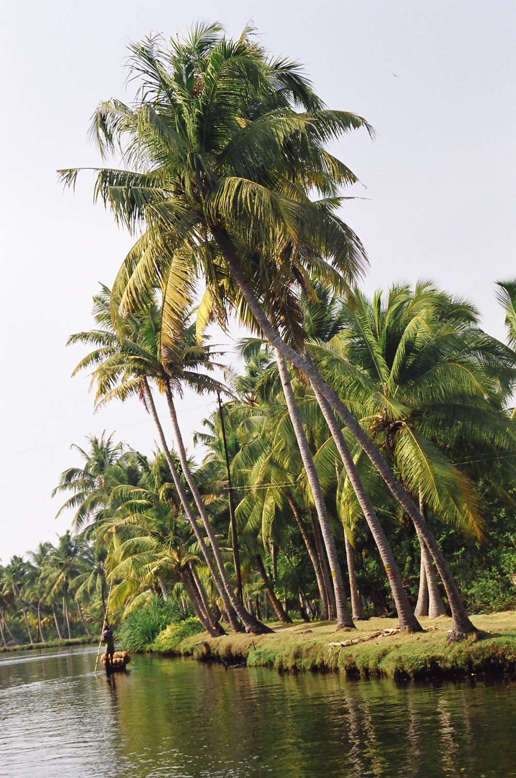The Keralan backwaters