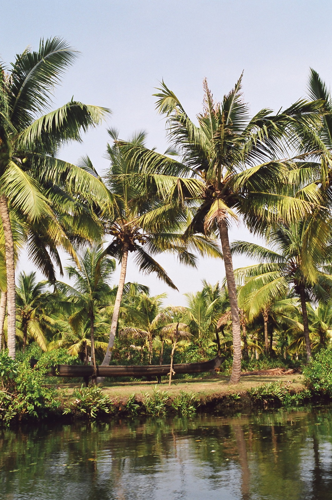 The Keralan backwaters