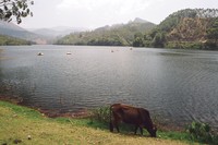 Kundala Dam