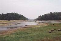 Periyar Lake