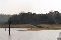 The luxurious Lake Palace Hotel on Periyar Lake