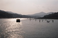 The wildlife cruise on Periyar Lake