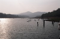 The wildlife cruise on Periyar Lake