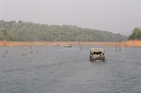 The wildlife cruise on Periyar Lake
