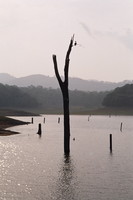 Periyar Lake