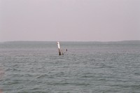 Ashtamudi Lake