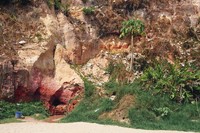 Rubbish on the cliff at Varkala