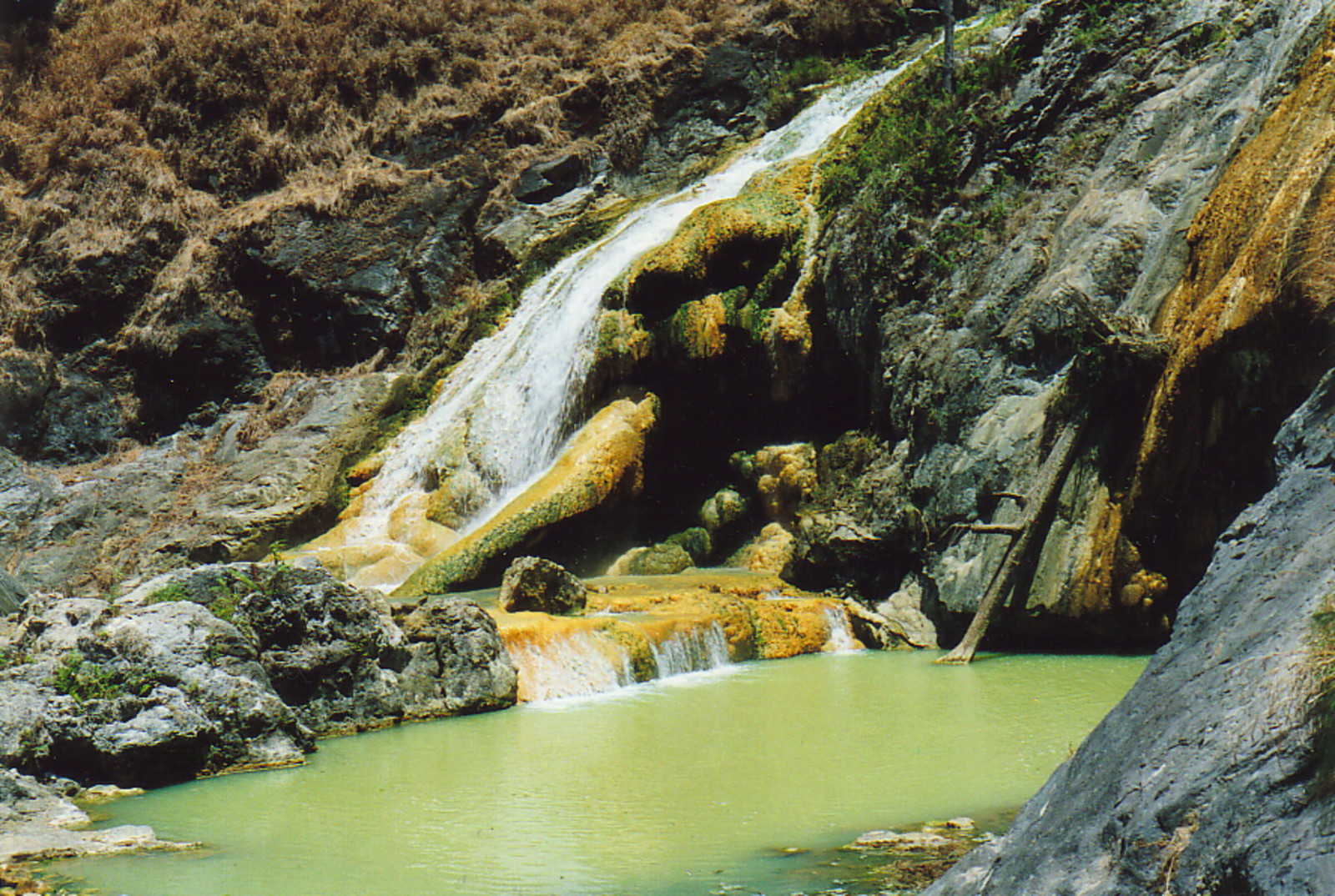 The hot springs