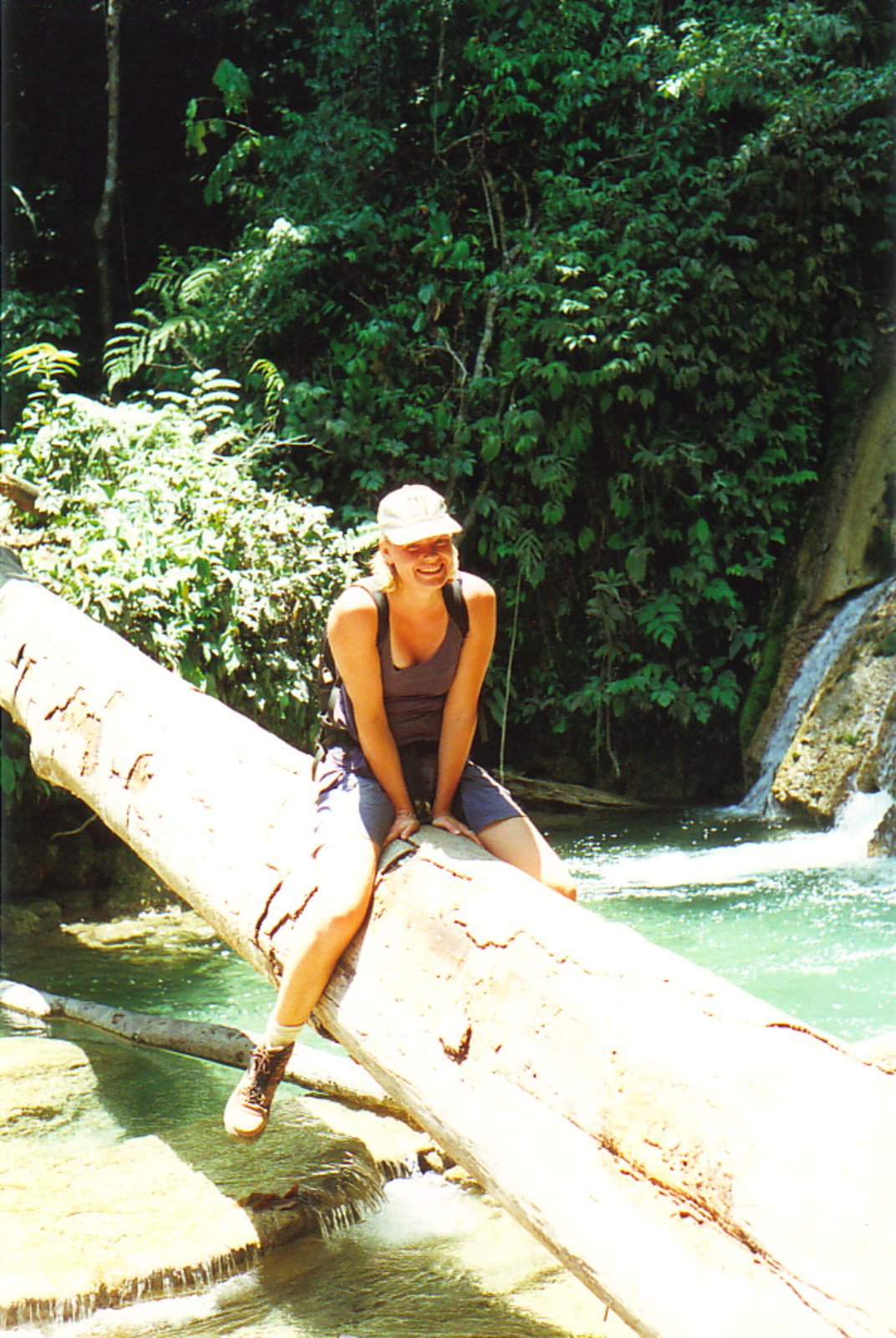 Rose climbing along a log at the Saluopa waterfall