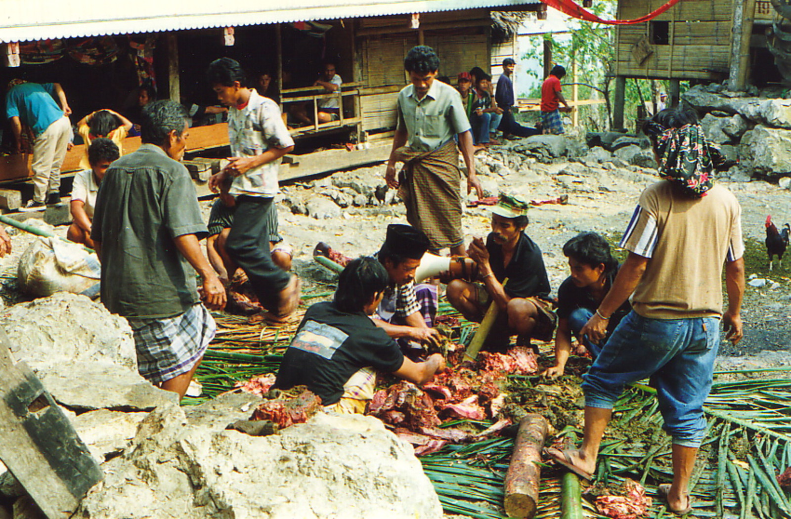 Butchering a buffalo