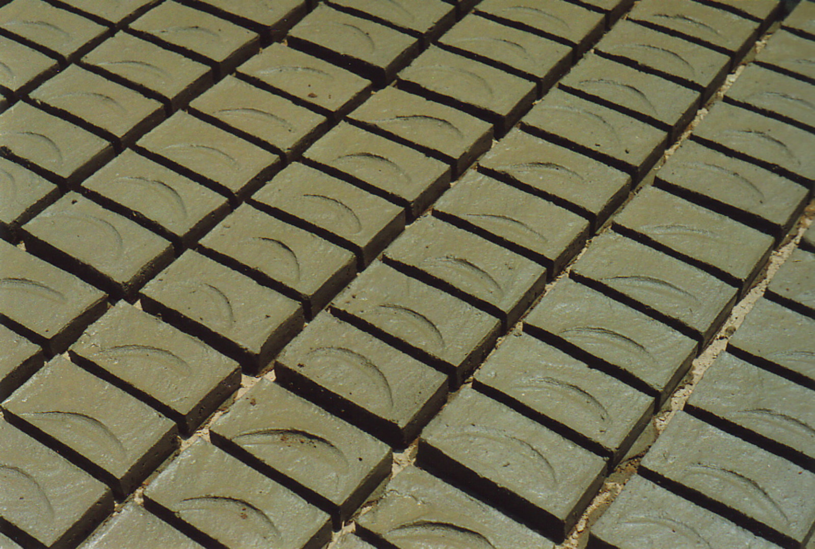 Bricks drying in the sun