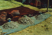 Dried fish for sale in Moni Market