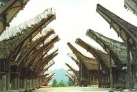 The tongkonan at Palawa