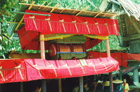 The colourful coffin at a Torajan funeral in Buntulepong