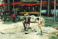 A water buffalo being scarificed