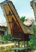 A tongkonan house