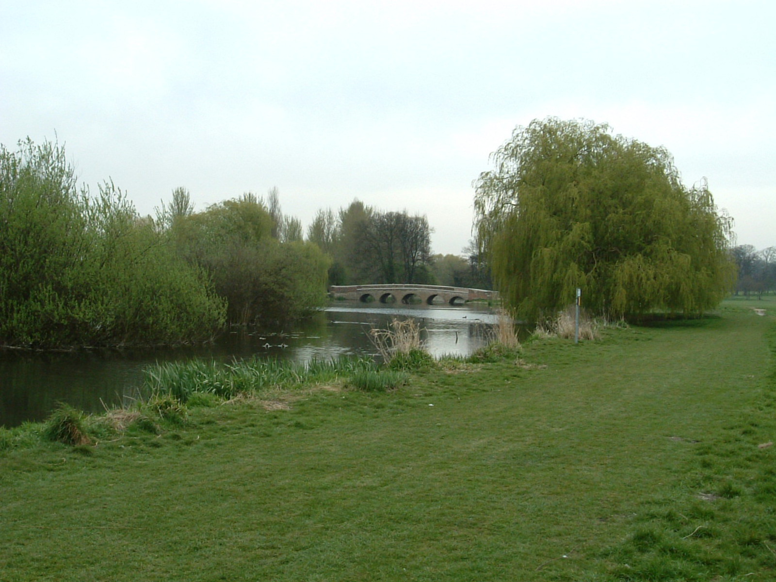 Five Arch Bridge on the River Cray