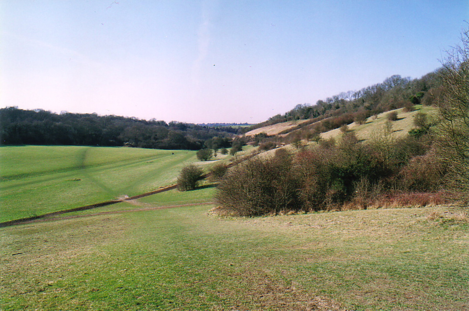 The view towards Farthing Downs