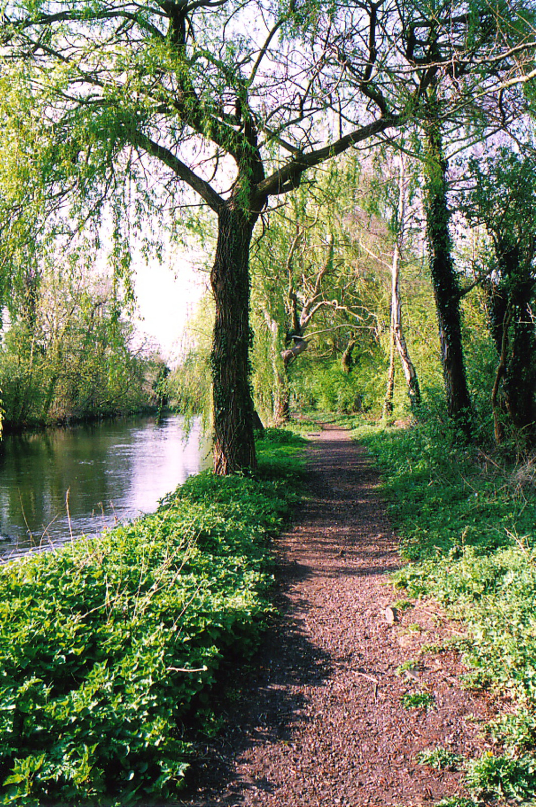 The River Colne