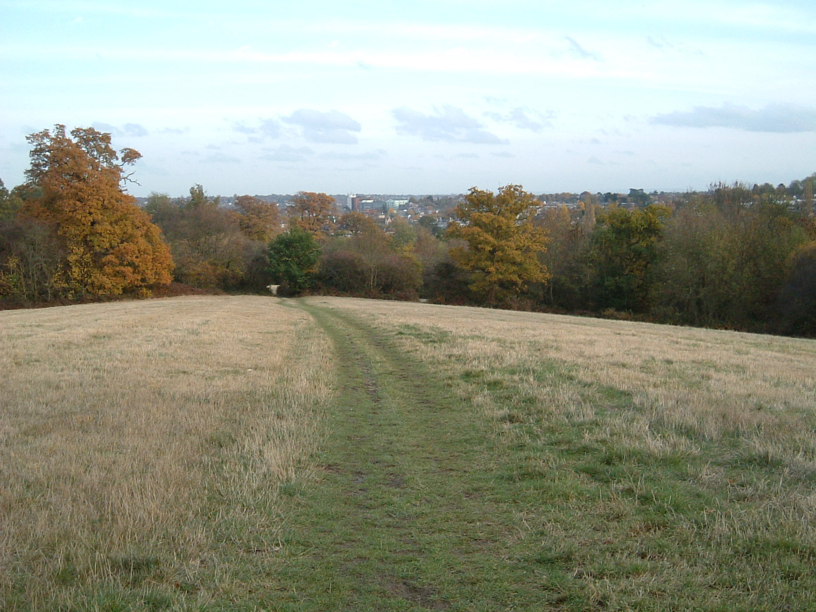 The view south from Hadley Green