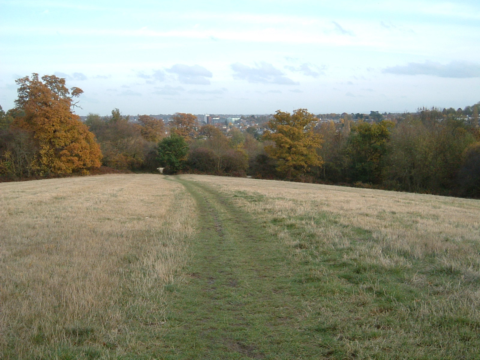 The view south from Hadley Green
