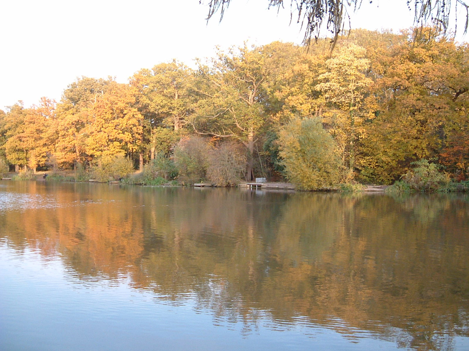 Beech Hill Lake