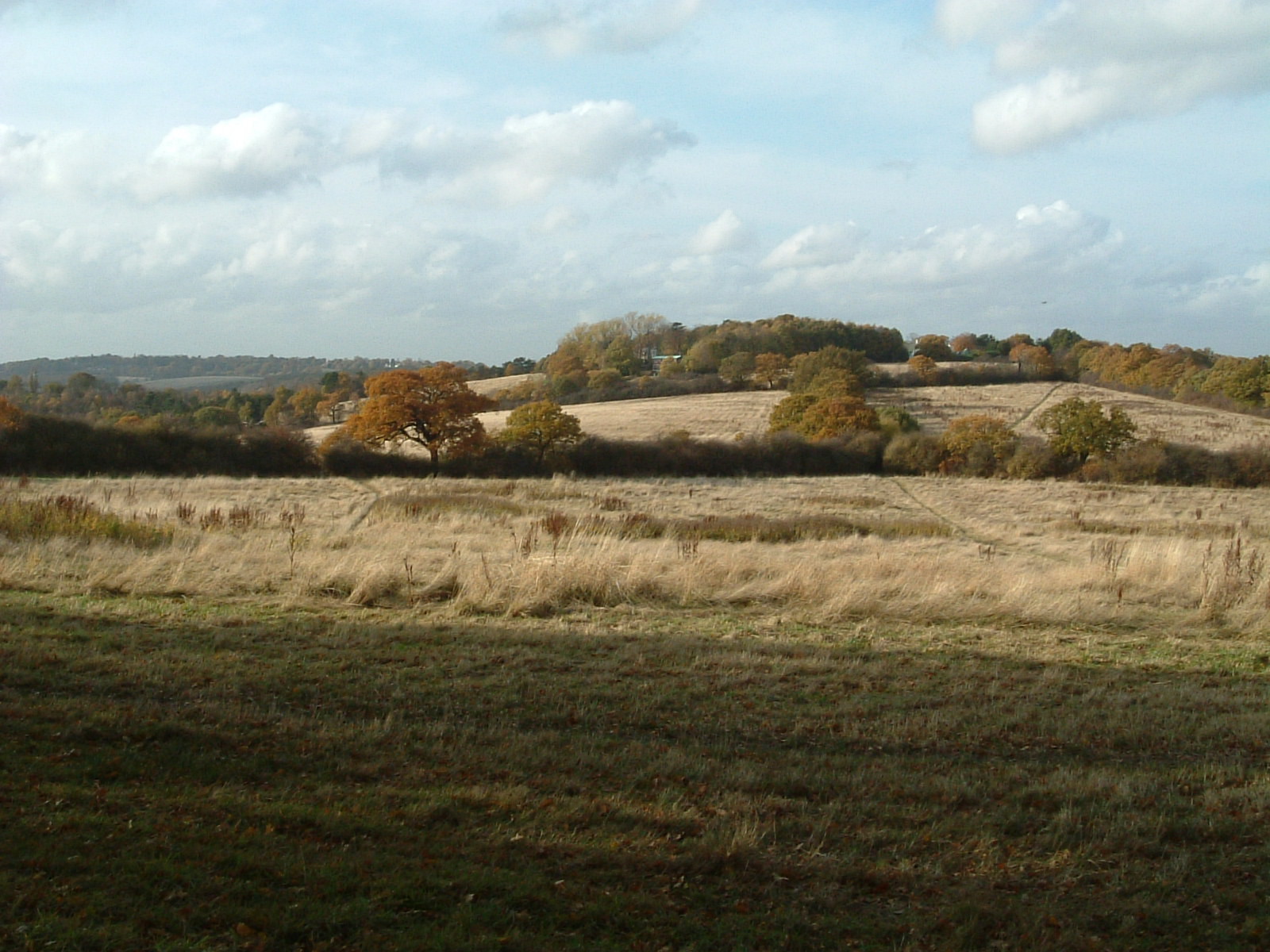 Scenery along the Dollis Valley Greenwalk