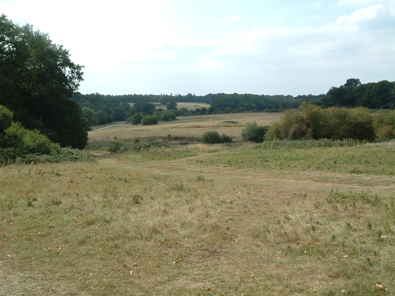 Enfield Chase