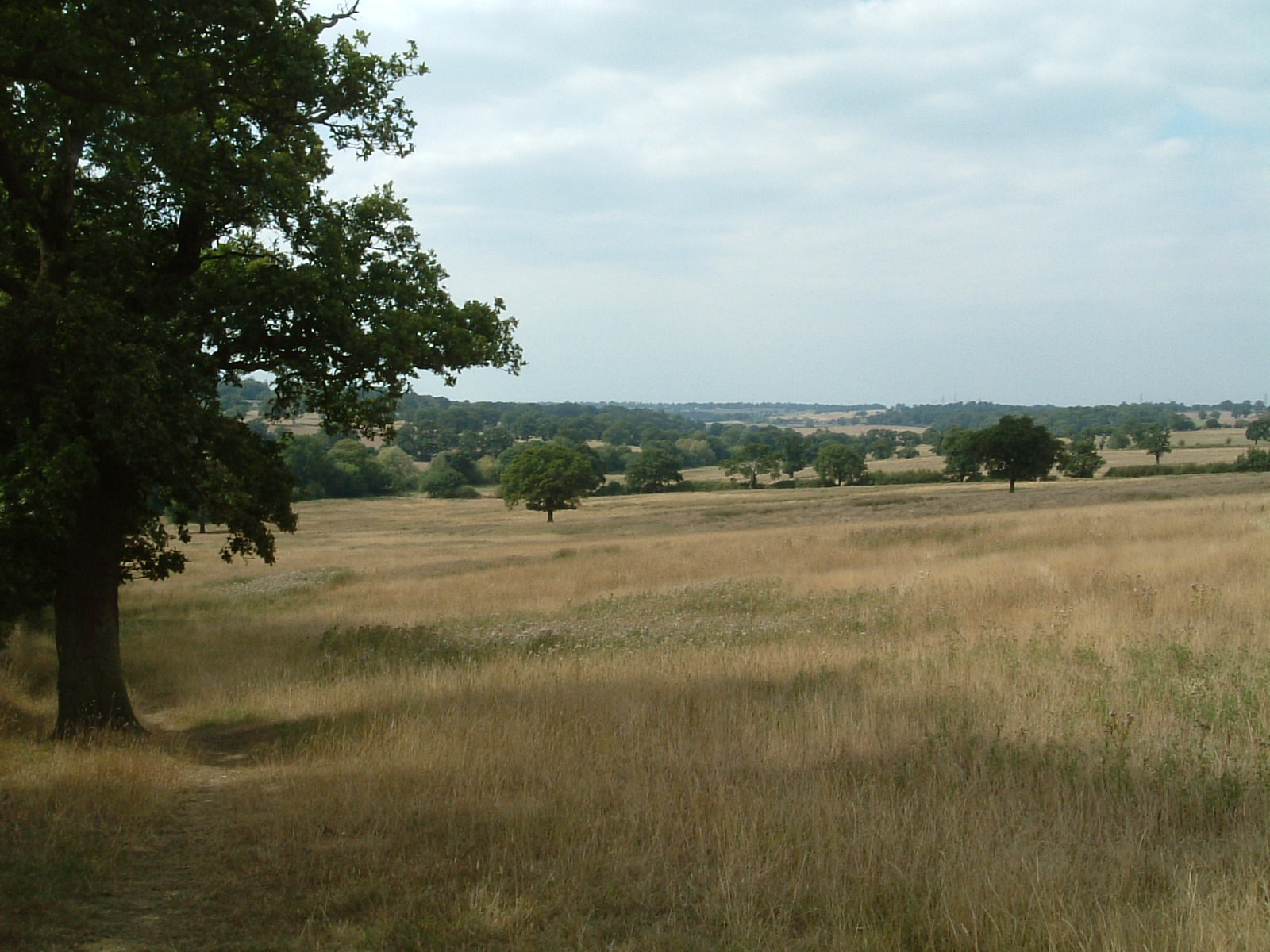 The valley of Salmon's Brook