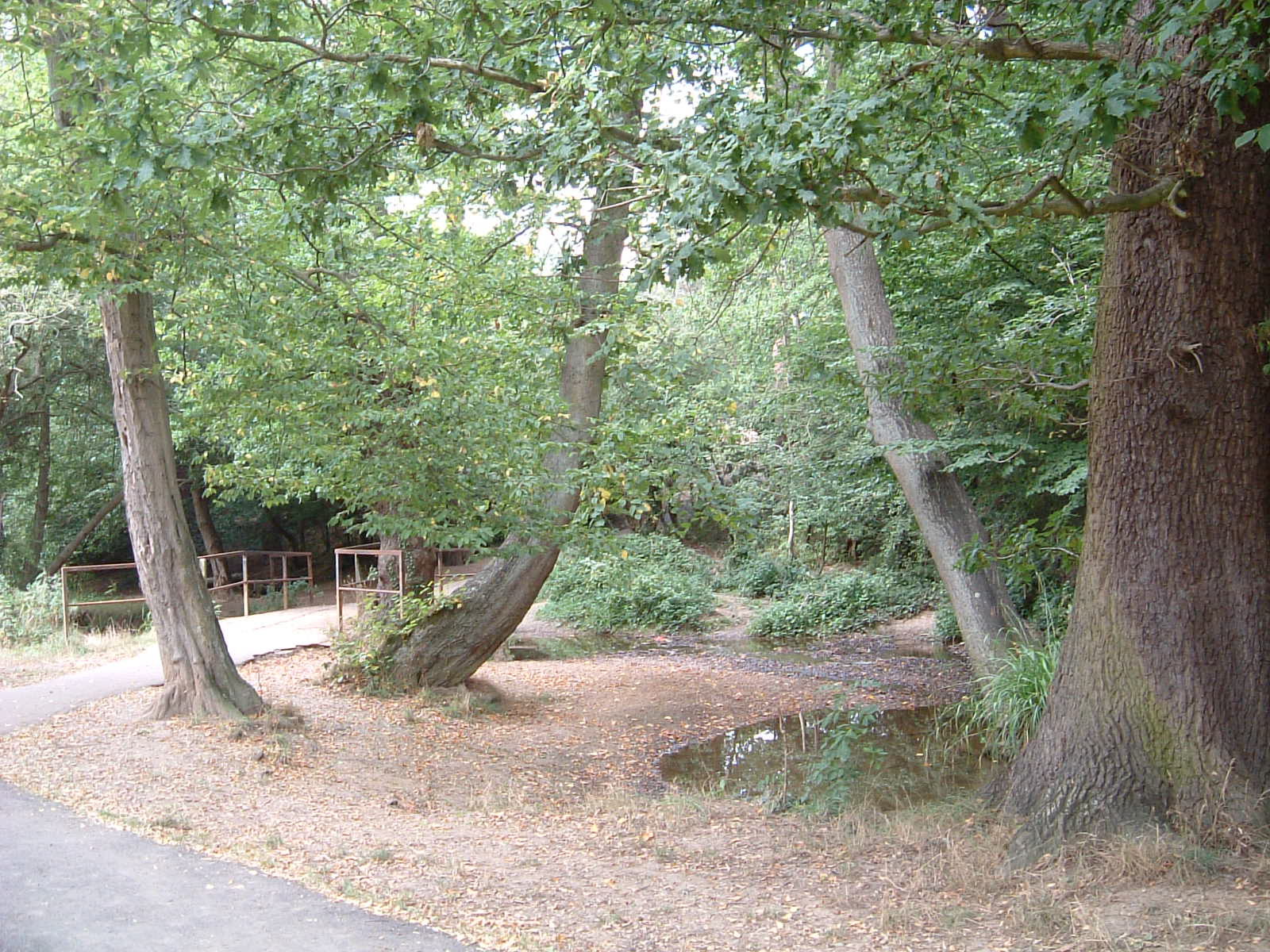 Hilly Fields Park