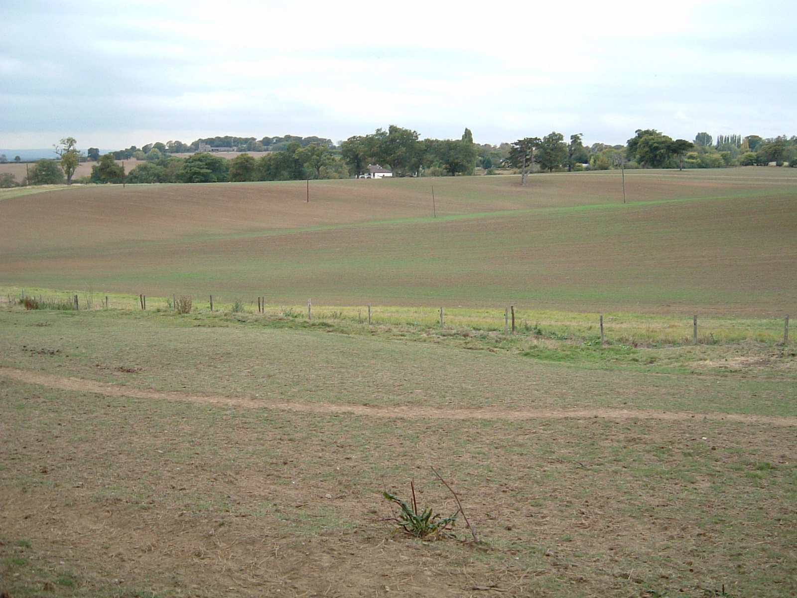 Rolling fields on the way to Harold Hill