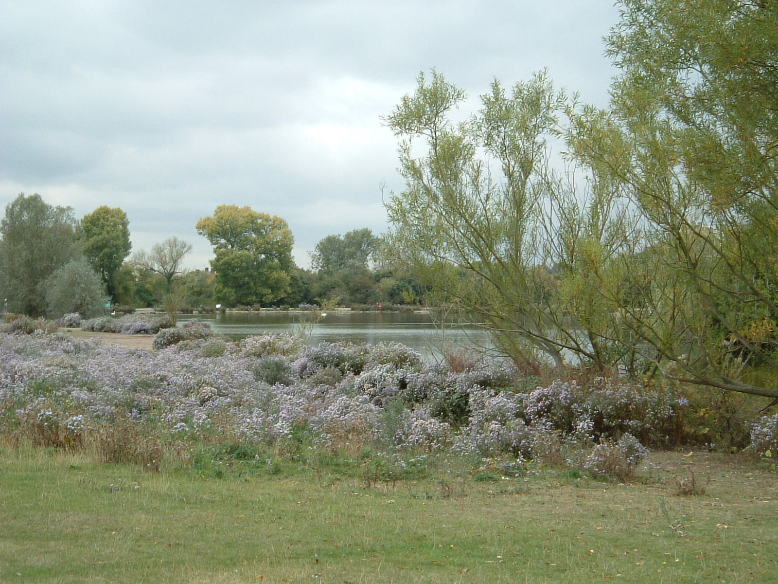 The lake in the middle of Hainault Park