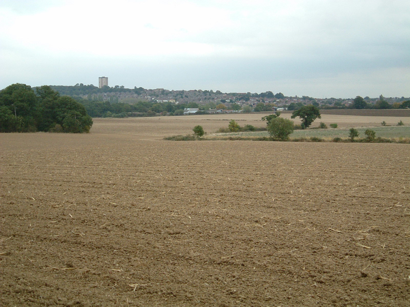 Farm views between Hainault Park and Havering Country Park