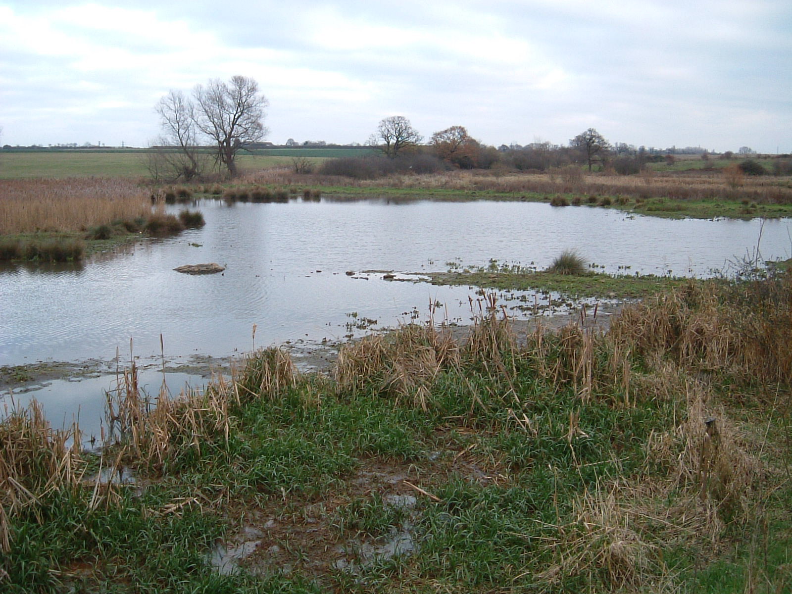 The marshes of Hornchurch Country Park