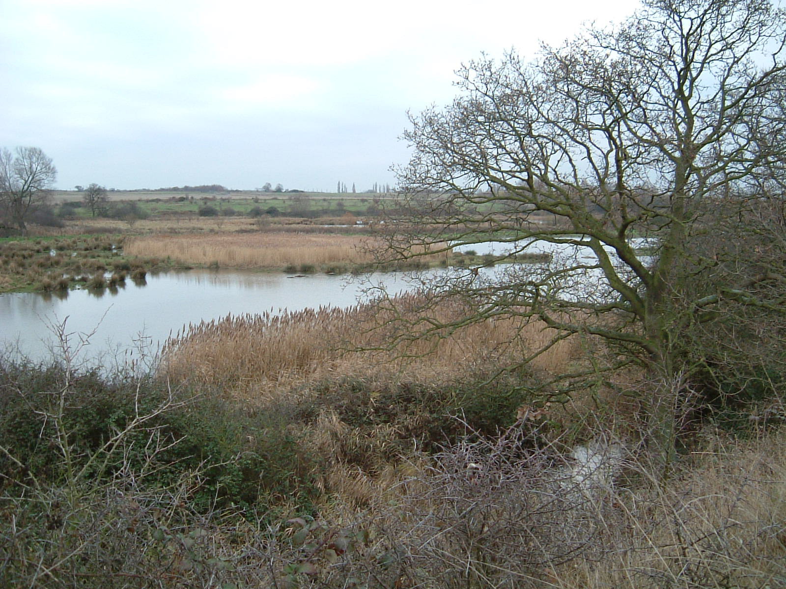 The marshes of Hornchurch Country Park