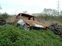 A burnt-out car rusting by the River Cray