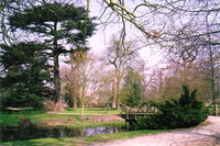 Woodland Gardens in Kingston