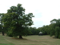 The bandstand in Hilly Fields Park