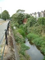 Turkey Brook