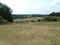 Enfield Chase