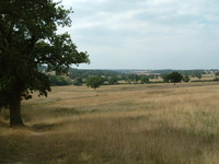 The valley of Salmon's Brook