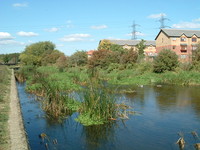 The River Lea